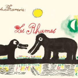 15-Andre-Francois-Les-Rhumes-Delpire-editions.jpg